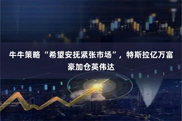 牛牛策略 “希望安抚紧张市场”，特斯拉亿万富豪加仓英伟达