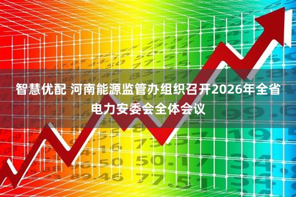智慧优配 河南能源监管办组织召开2026年全省电力安委会全体会议